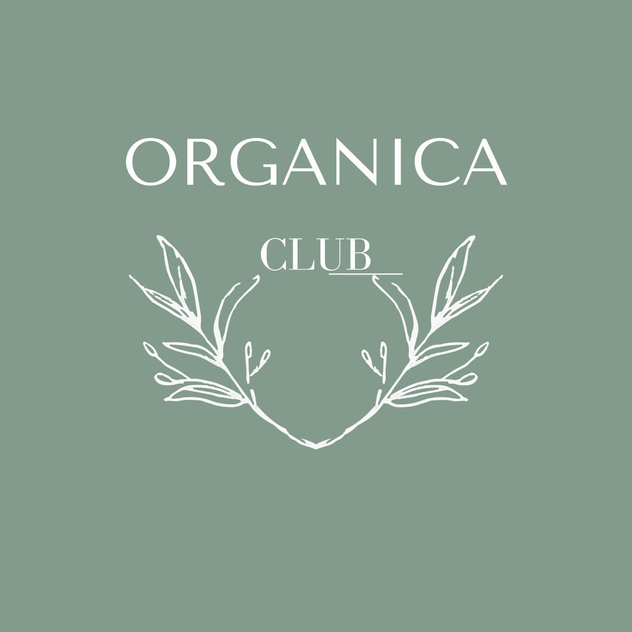 logo-image